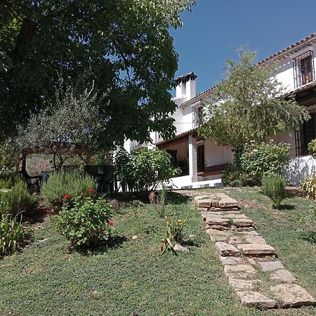 Casa Rural La Maquinilla 그라잘레마 외부 사진