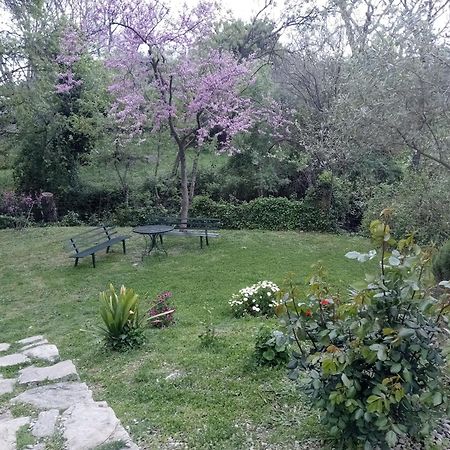 Casa Rural La Maquinilla 그라잘레마 외부 사진