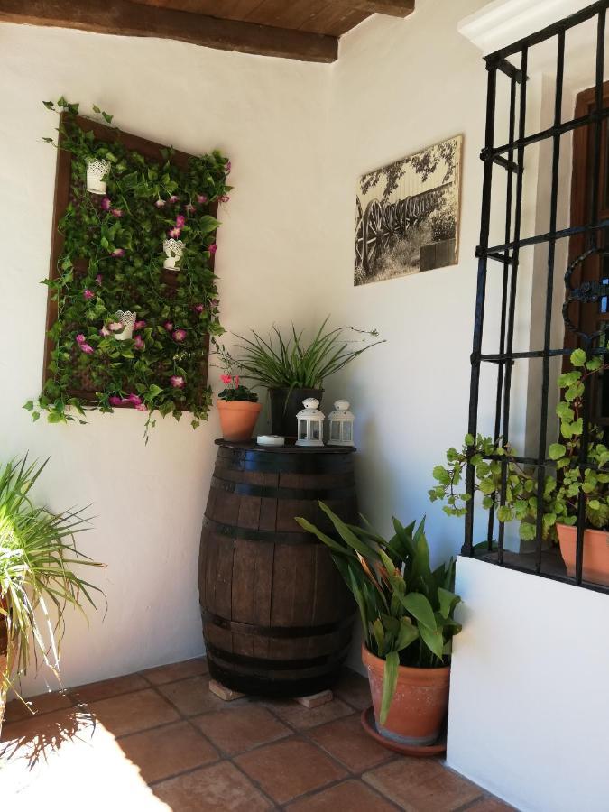Casa Rural La Maquinilla 그라잘레마 외부 사진