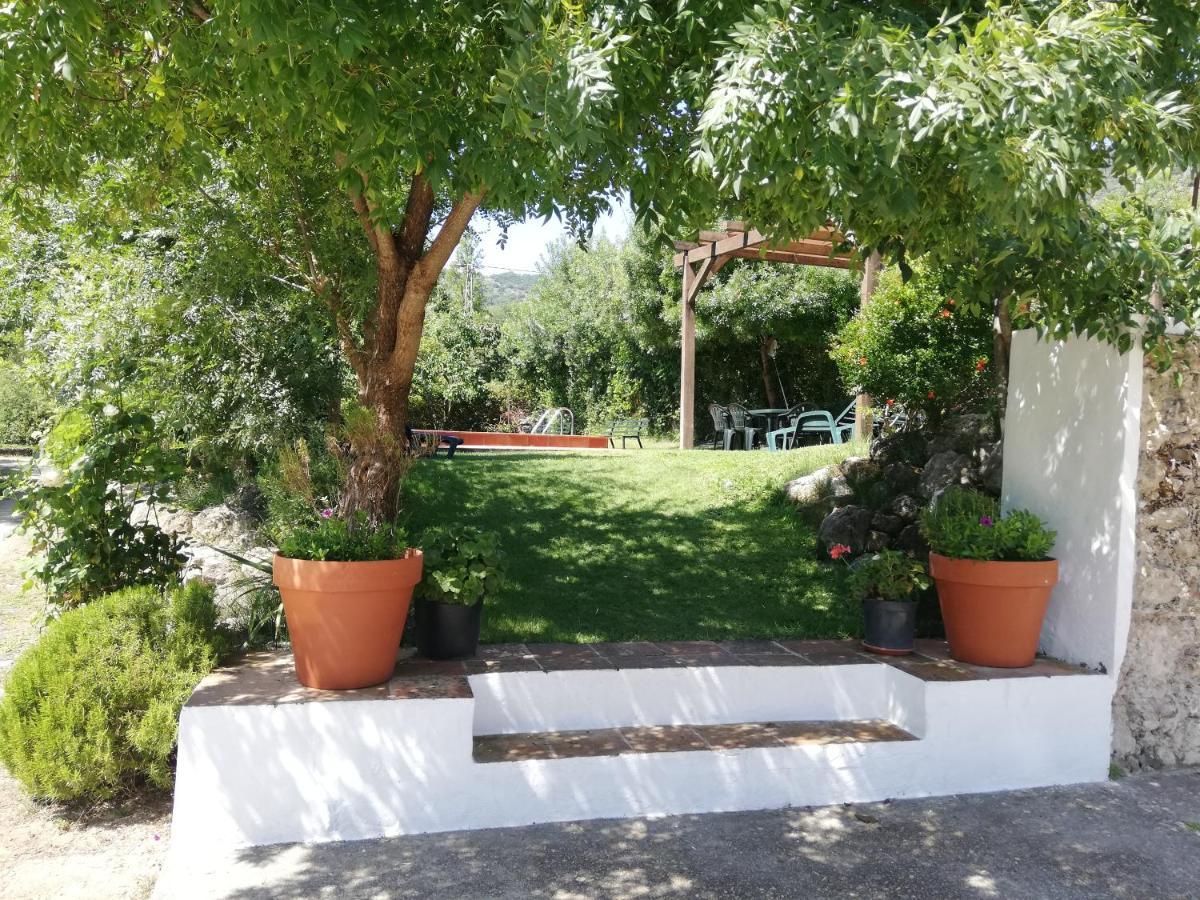 Casa Rural La Maquinilla 그라잘레마 외부 사진