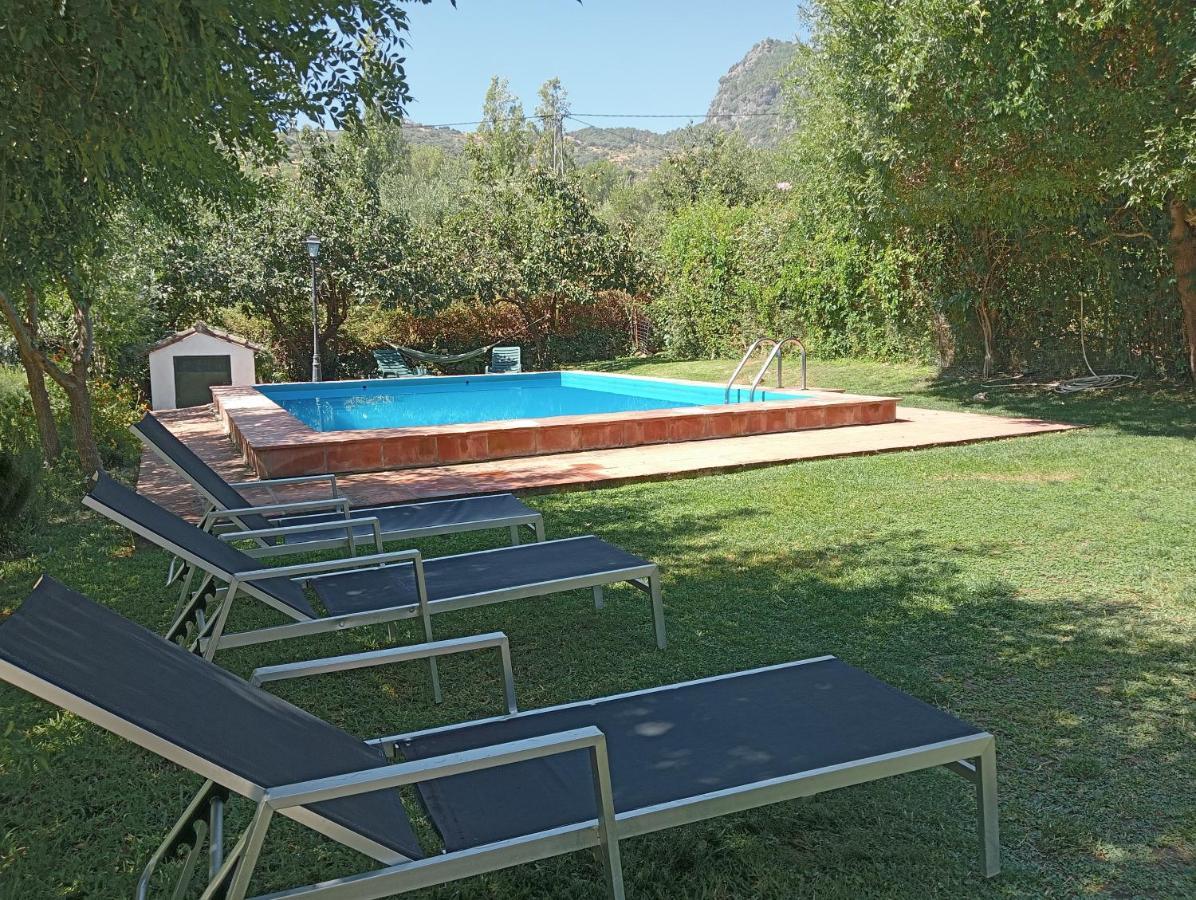 Casa Rural La Maquinilla 그라잘레마 외부 사진