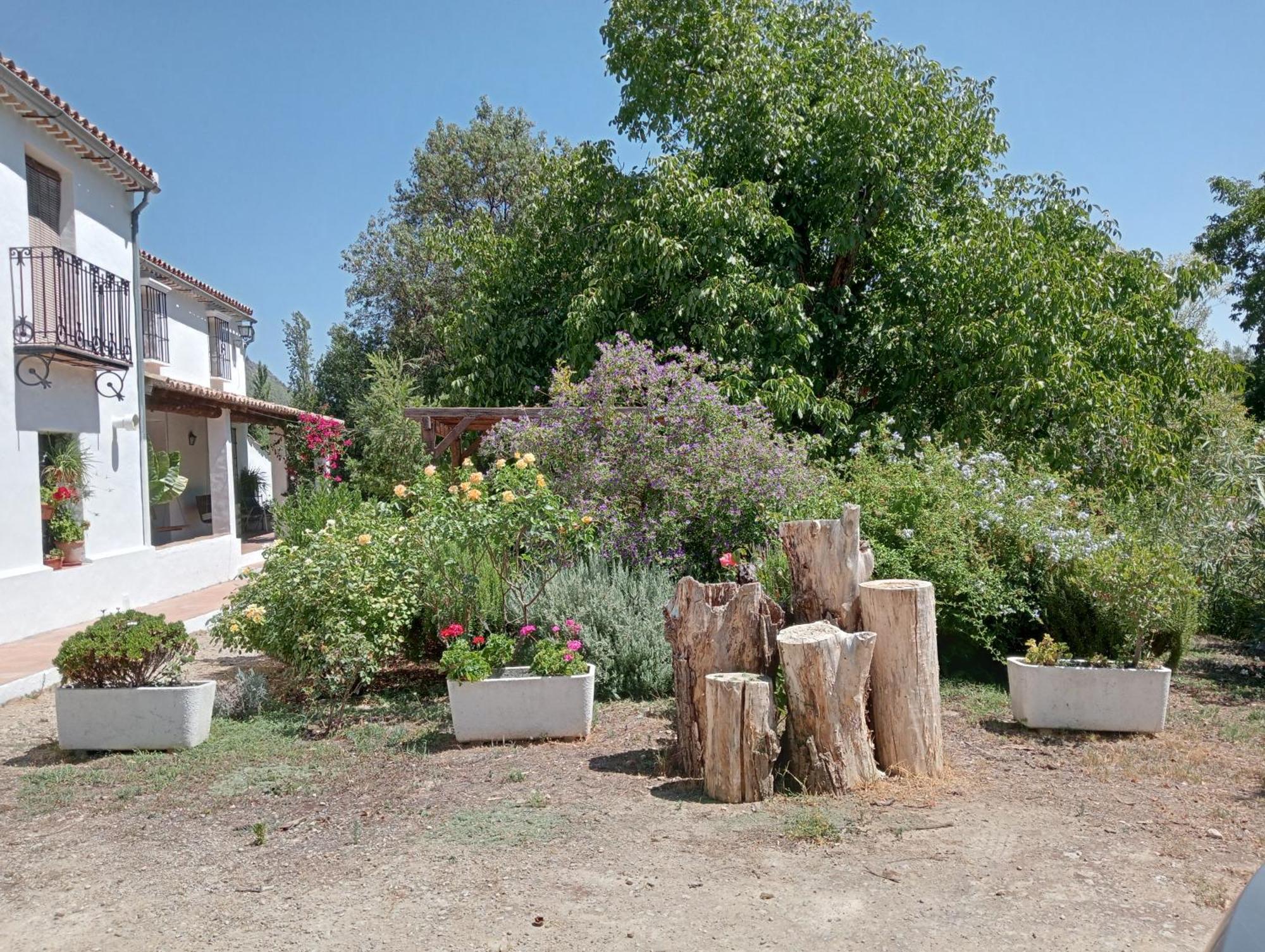 Casa Rural La Maquinilla 그라잘레마 외부 사진