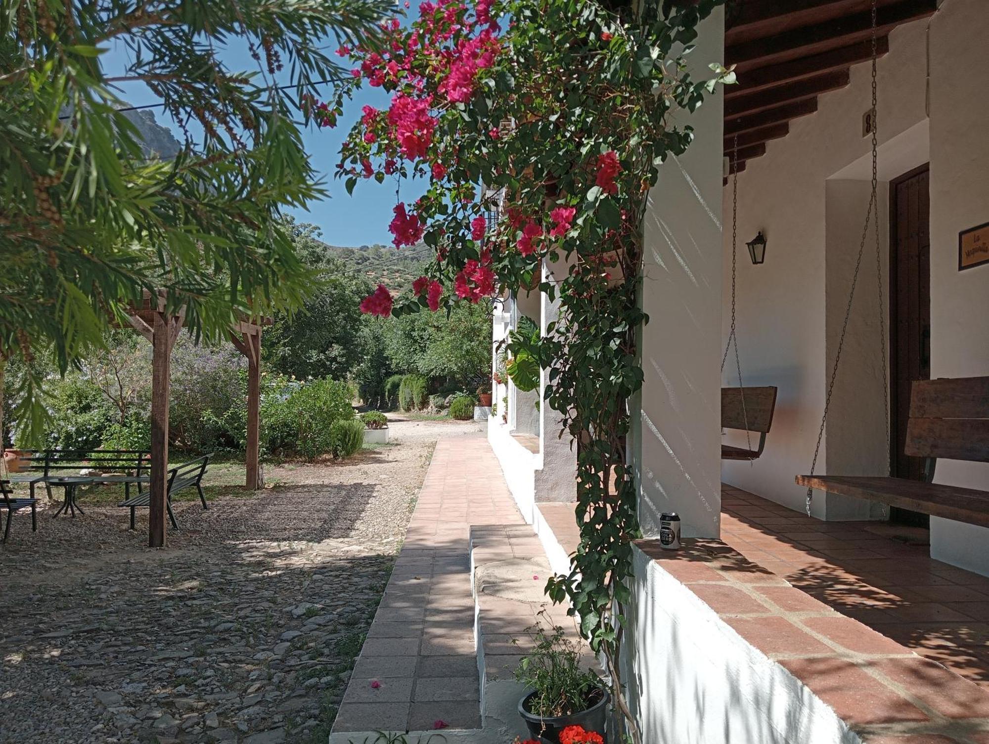 Casa Rural La Maquinilla 그라잘레마 외부 사진
