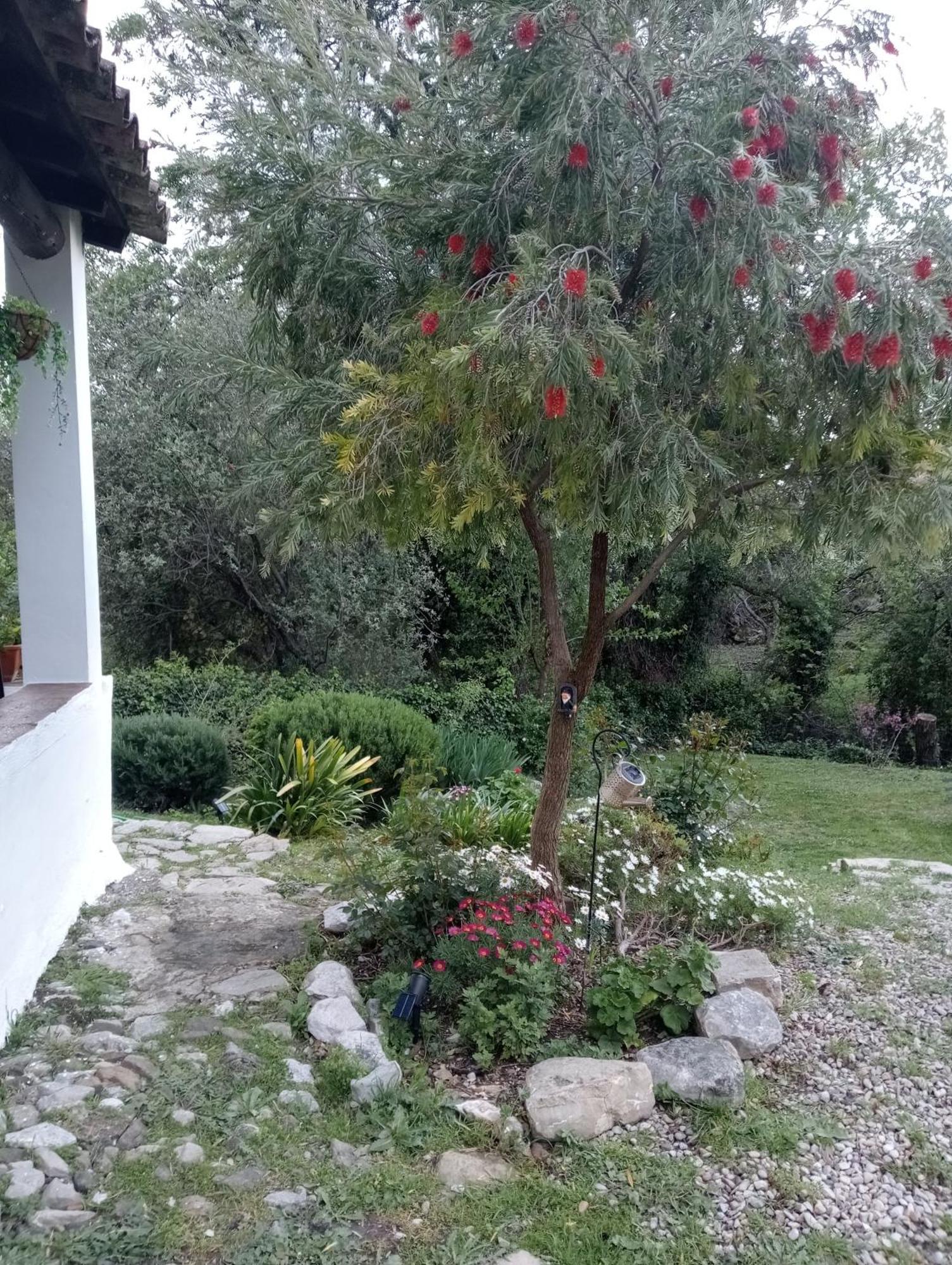 Casa Rural La Maquinilla 그라잘레마 외부 사진
