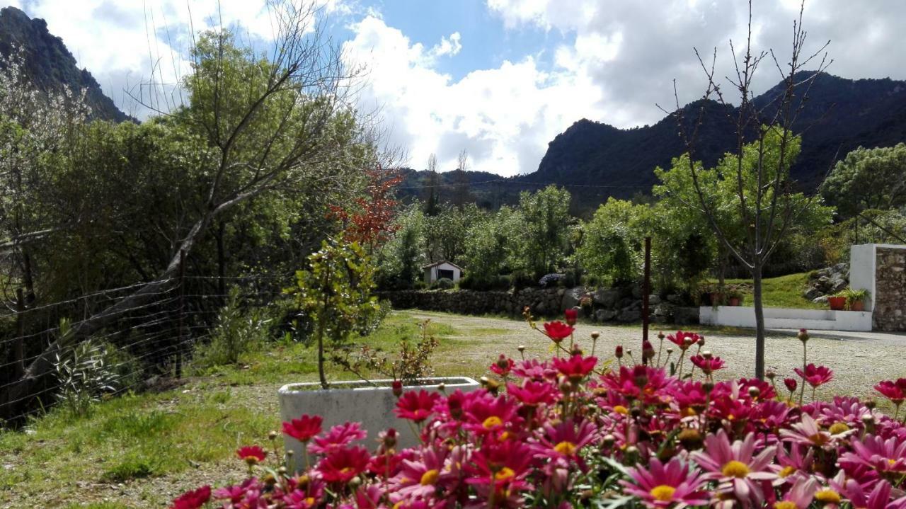 Casa Rural La Maquinilla 그라잘레마 외부 사진