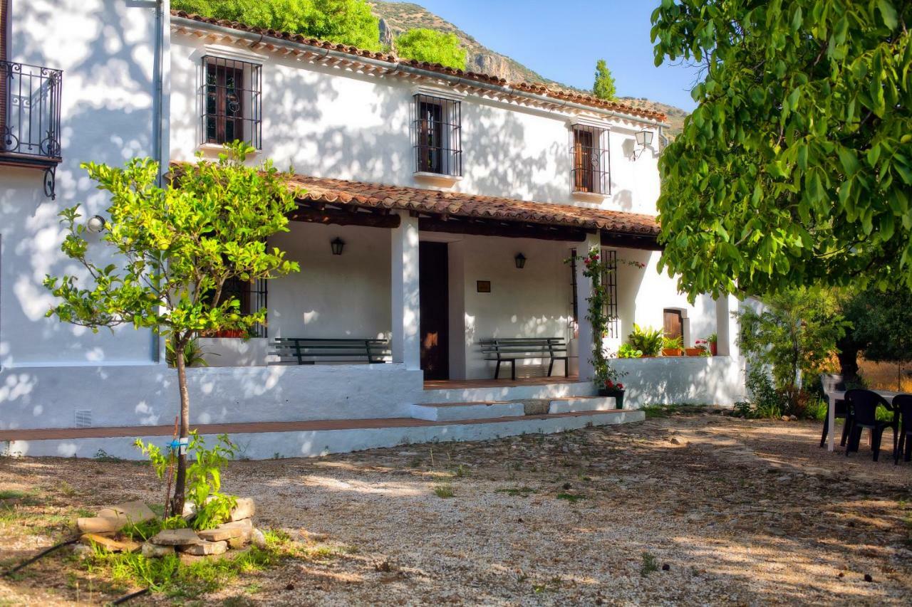 Casa Rural La Maquinilla 그라잘레마 외부 사진