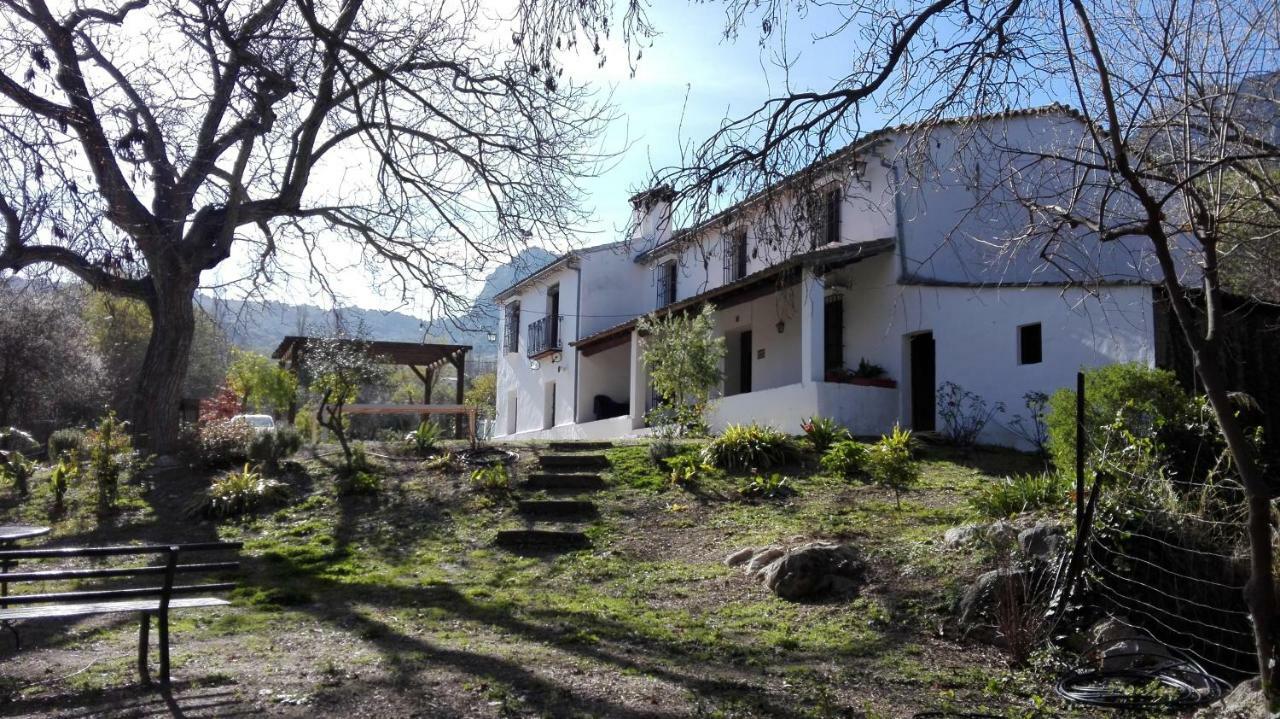 Casa Rural La Maquinilla 그라잘레마 외부 사진