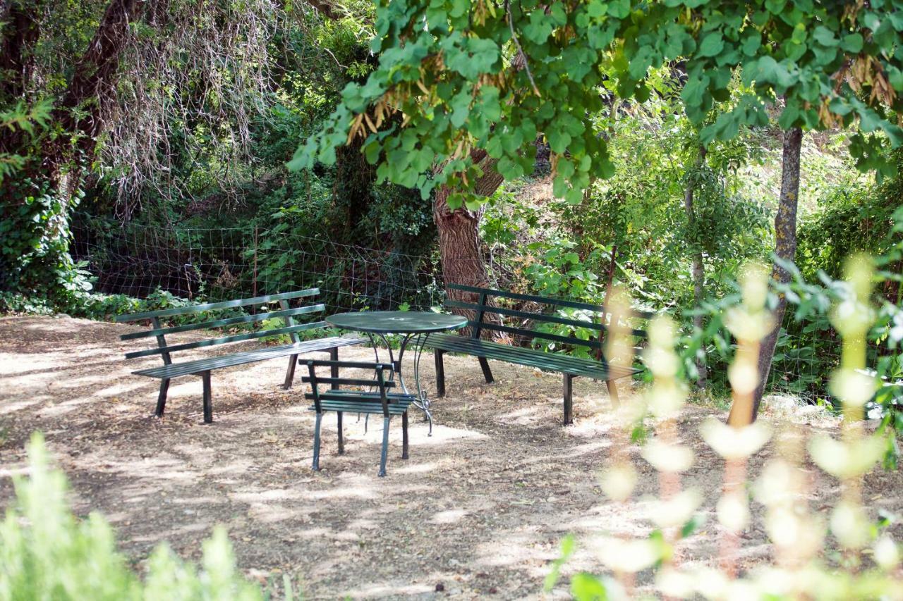 Casa Rural La Maquinilla 그라잘레마 외부 사진